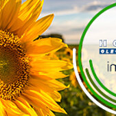 IMPAG is new distribution partner of HOBUM Oleochemicals GmbH 