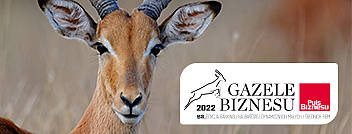 Business Gazelle 2022