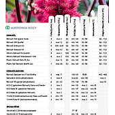 Castor Oils available at IMPAG