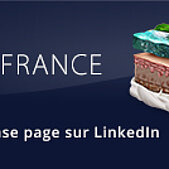 IMPAG France is presenting itself on Linkedin