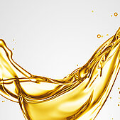 Antioxidants from Rianlon
