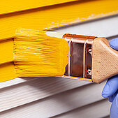 Dry-film fungicide for solvent-borne coatings