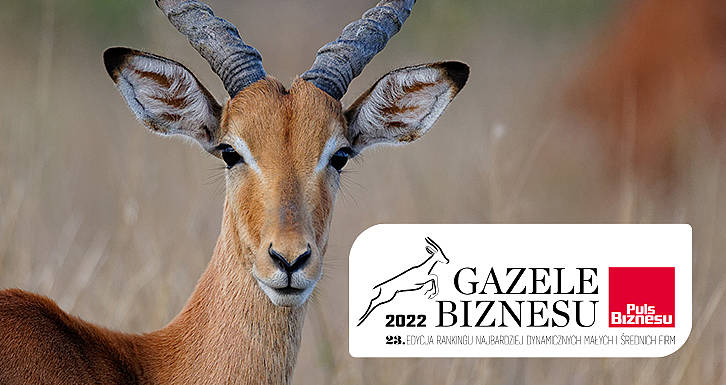 Business Gazelle 2022