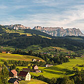 Swiss raw materials from barley