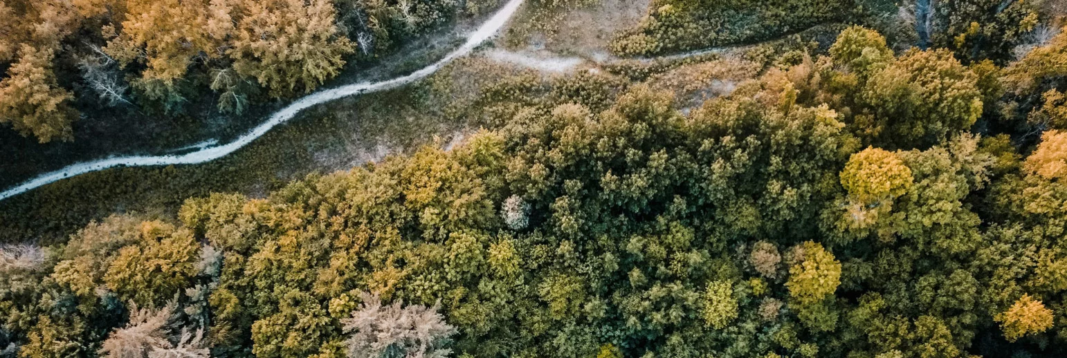 Rozporządzenie EUDR (European Union Deforestation Regulation) 