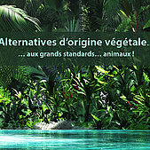 alternatives of plant origin