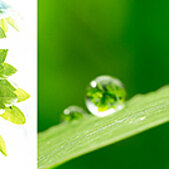 Beauty indsutry is eco-conscious